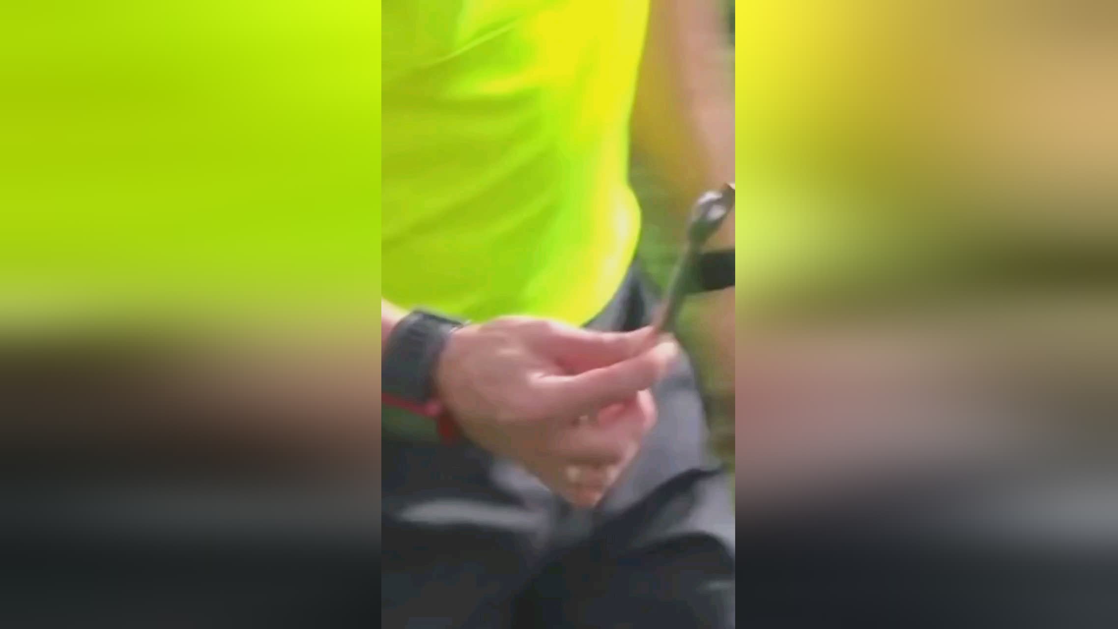 荣在